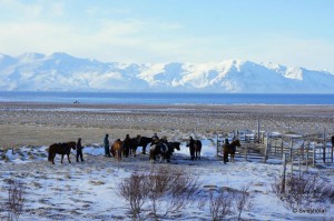 Kaldbakur Tour 2015 (13)